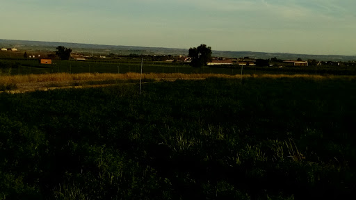 Discoteca  Torre Alcarras